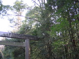 shrine