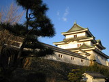 castel