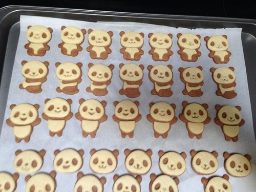 panda cookie