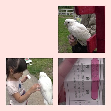 占い1