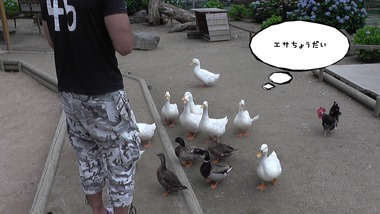 ふれあい1