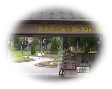 1402964886767