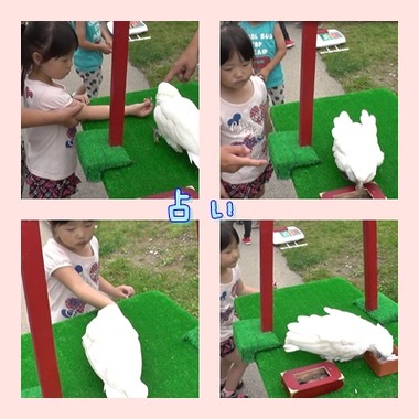 占い