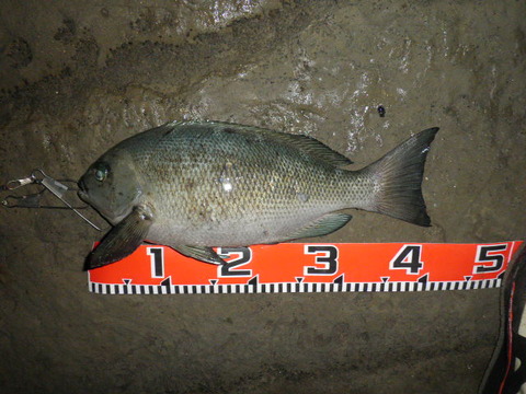 P8200129