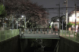 264fcc69.jpg