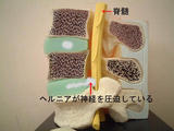 25fb5540.bmp