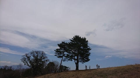 DSC_1464