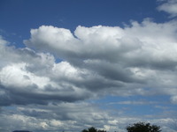 DSCF2728