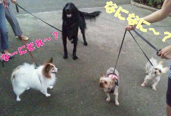 なになにー??