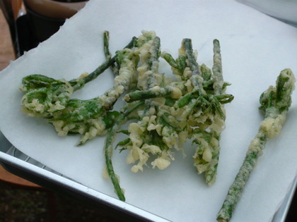 P1070346