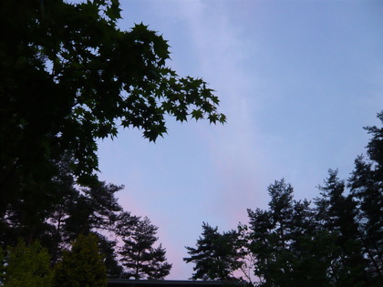 P1070350
