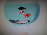 20090315Ëͤζâµû