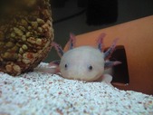20101014¤¦¤Ñ