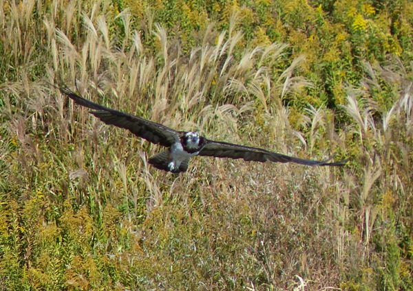 P1100964_R