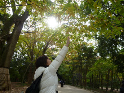 kyoto2