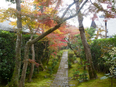 kyoto9