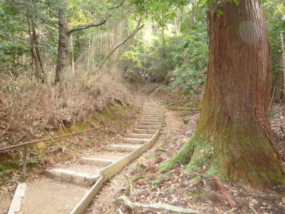 kyoto5