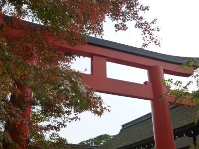 kyoto1