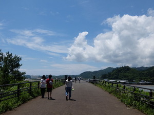 DSCF8162