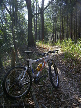 7108d6b3.jpg