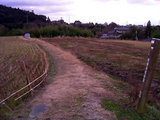 b66a80aa.jpg