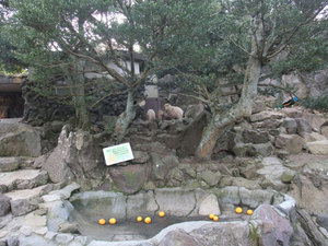 DSCF2552