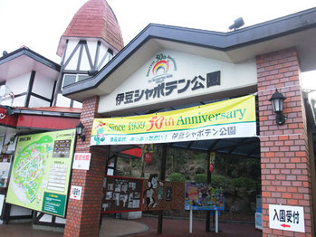 DSCF2375
