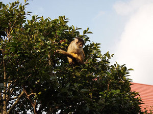 P3200274