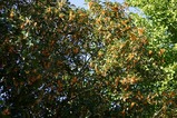 2e1c0947.jpg