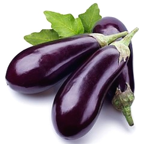 eggplant1