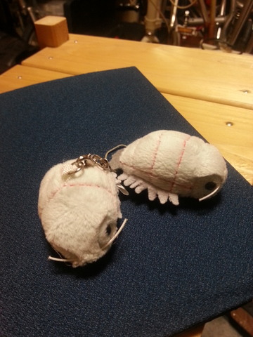 moblog_a337b58c