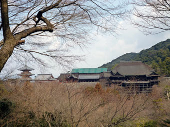 P1000136