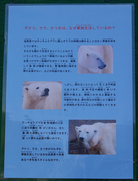 看板