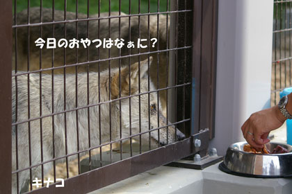 おやつは?