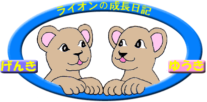 円山動物園 ライオンの成長日記