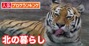 ボタン