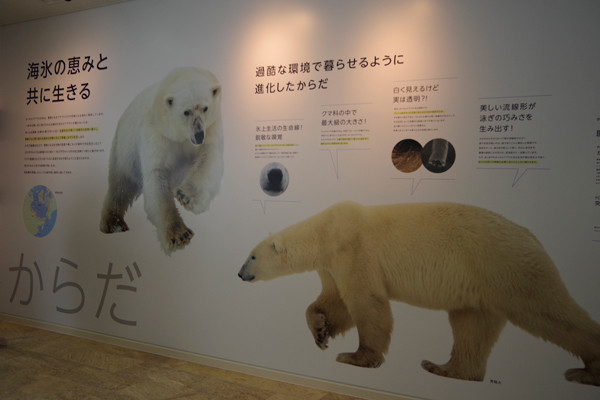 ホッキョクグマサイン