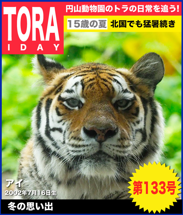 トライデー