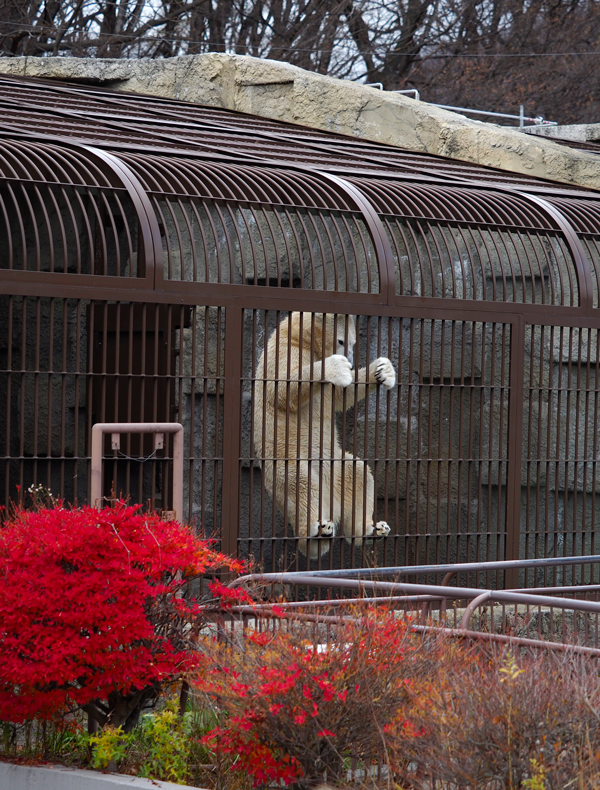 のぼる