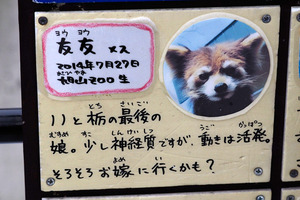 最後の