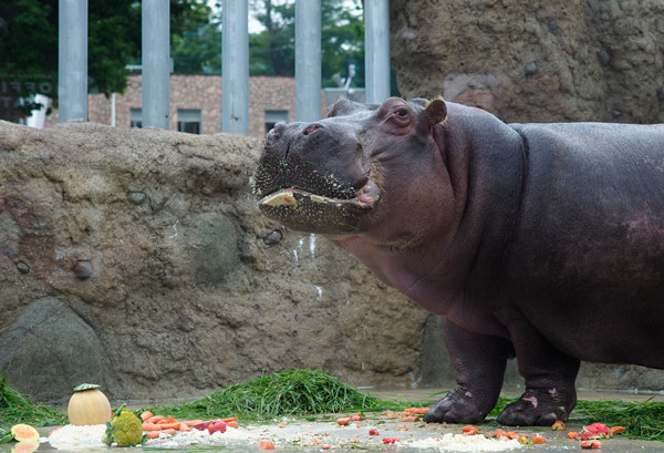 食べる