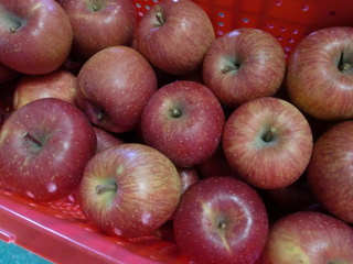 05a9f845.jpg