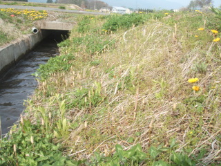 3075985f.jpg