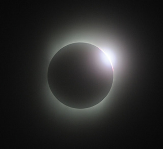 3912827c.jpg