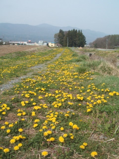 425a4e00.jpg