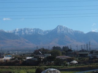 79fd3153.jpg