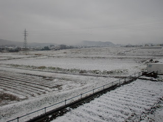 d2e5546b.jpg
