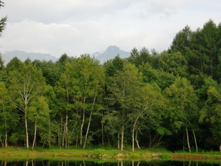 d4cfe1a6.jpg
