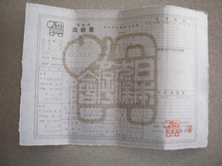 dd4d06a8.jpg