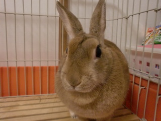 e00509c6.jpg